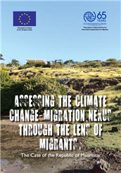 Assessing the climate change–migration nexus through the lens of migrants: the case of the Republic of Mauritius